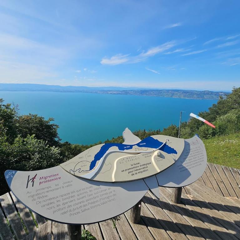 Lake View Lakefront Beach Lake Geneva Geneva Paddle - Maison 1 Chambre - 6