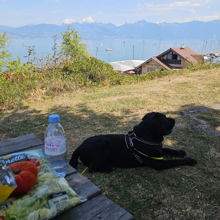 Lake View Lakefront Beach Lake Geneva Geneva Paddle - Maison 1 Chambre - 22