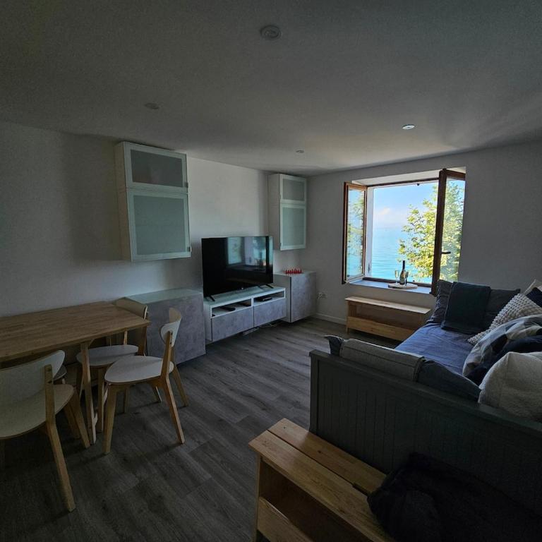 Lake View Lakefront Beach Lake Geneva Geneva Paddle - Maison 1 Chambre - 35