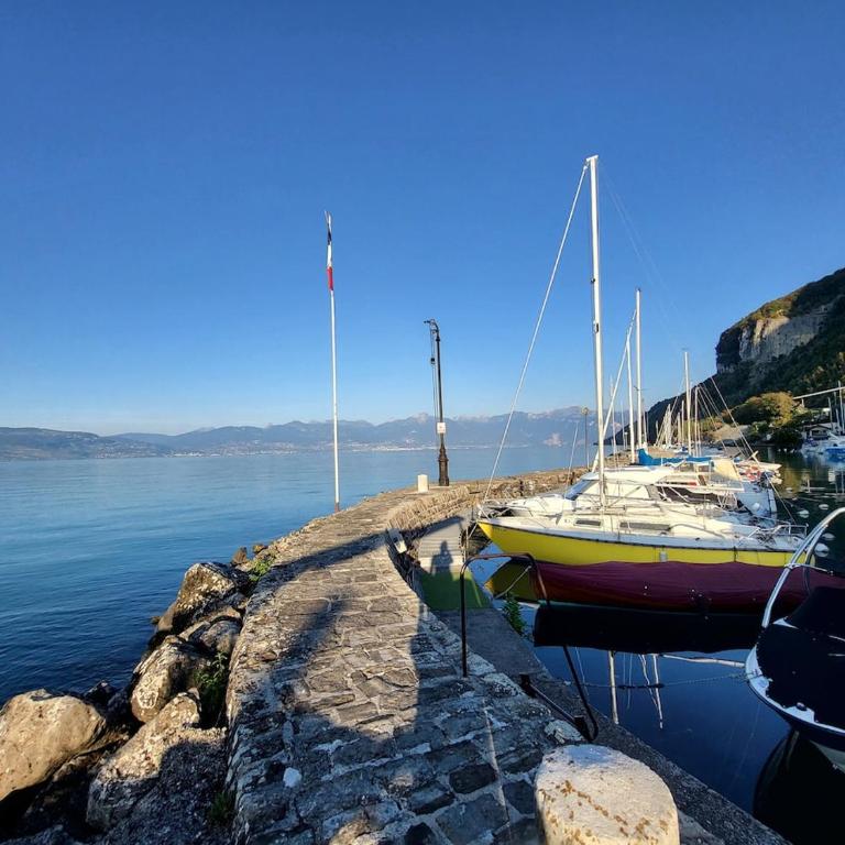 Lake View Lakefront Beach Lake Geneva Geneva Paddle - Maison 1 Chambre - 44