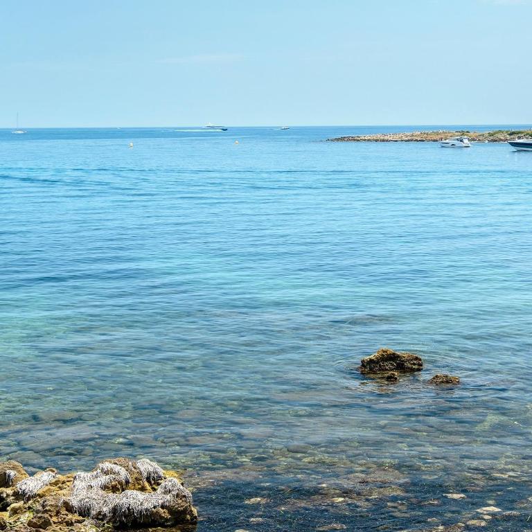 Cap d'Antibes, Garoupe beach - Appartamento con Terrazza - 30