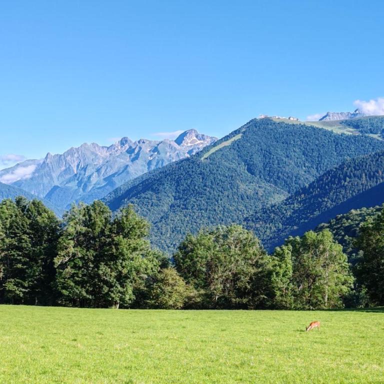 T2 HYPER CENTRE LUCHON AVEC ASCENSEUR 2 A 6 pers - Appartement 2 Chambres - 12