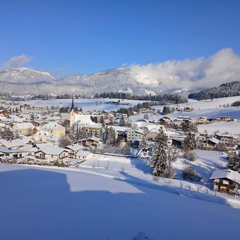 Apartment Dreier - Salzburger Land - Apartment mit 2 Schlafzimmern und Aussicht - 13
