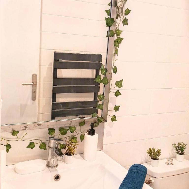Cosy cap d'agde centre port - Apartamento de 1 dormitorio - 12