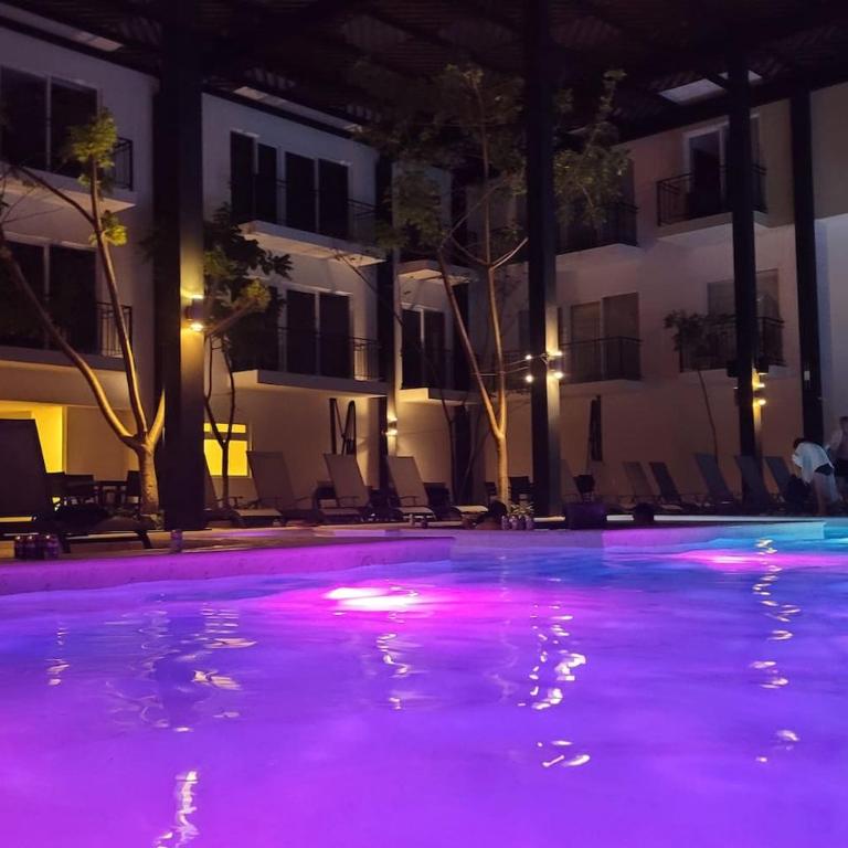 Casa de Elena Tranquility, Peace & Relaxation - Apartment - 24
