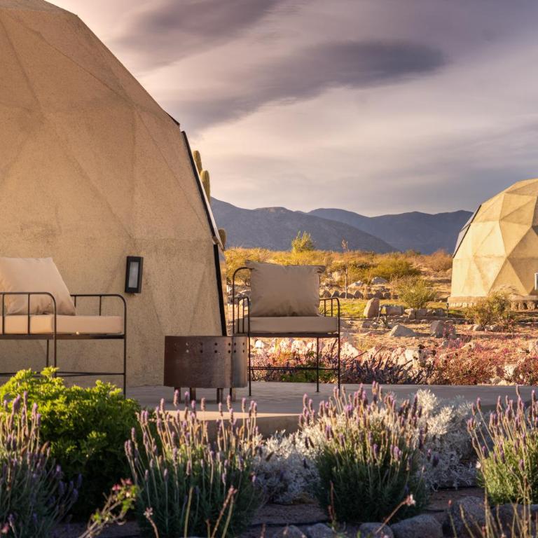 Glamping Astrapia - Cafayate - Double or Twin Room - 1