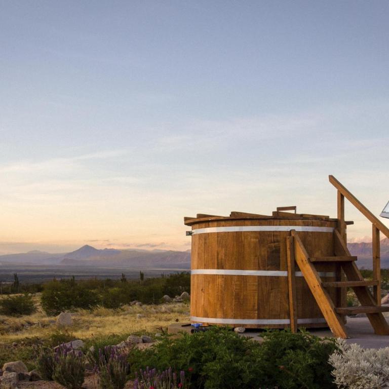 Glamping Astrapia - Cafayate - Deluxe Double or Twin Room - 15