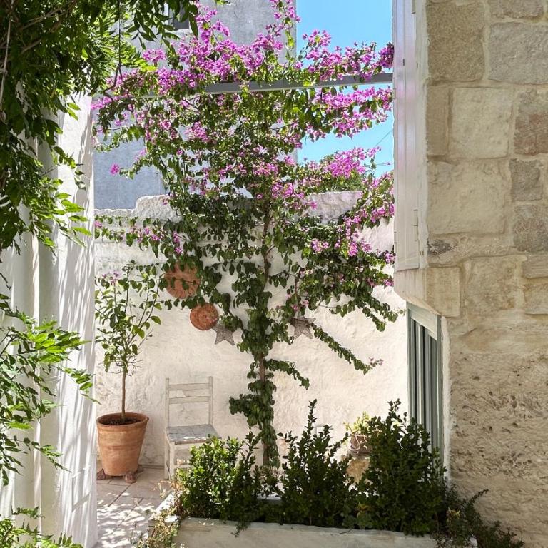 Montesanto 60 Suite & Relax Alberobello - Deluxe Junior Suite - 12