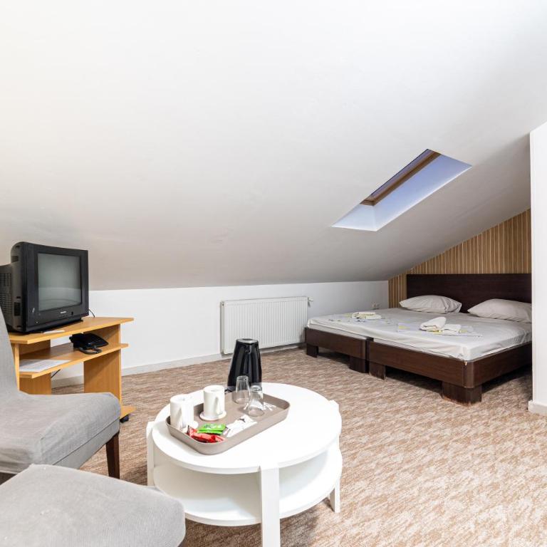 Aparthotel HayatHills - Niskobudžetna Dvokrevetna Soba sa Bračnim Krevetom - 9