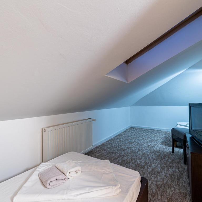 Aparthotel HayatHills - Niskobudžetna Dvokrevetna Soba sa Bračnim Krevetom - 8