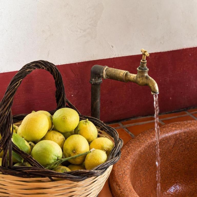Agriturismo Villa Cefalà - Apartamento familiar de 1 dormitorio - 4