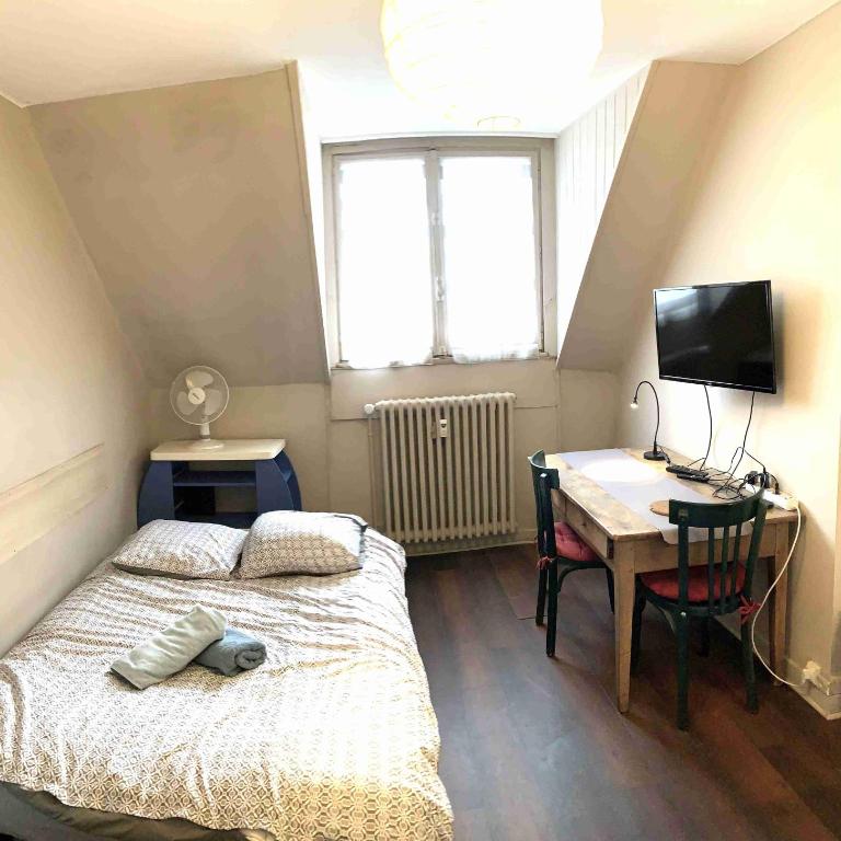 Studio Léman - One-Bedroom Apartment - 1