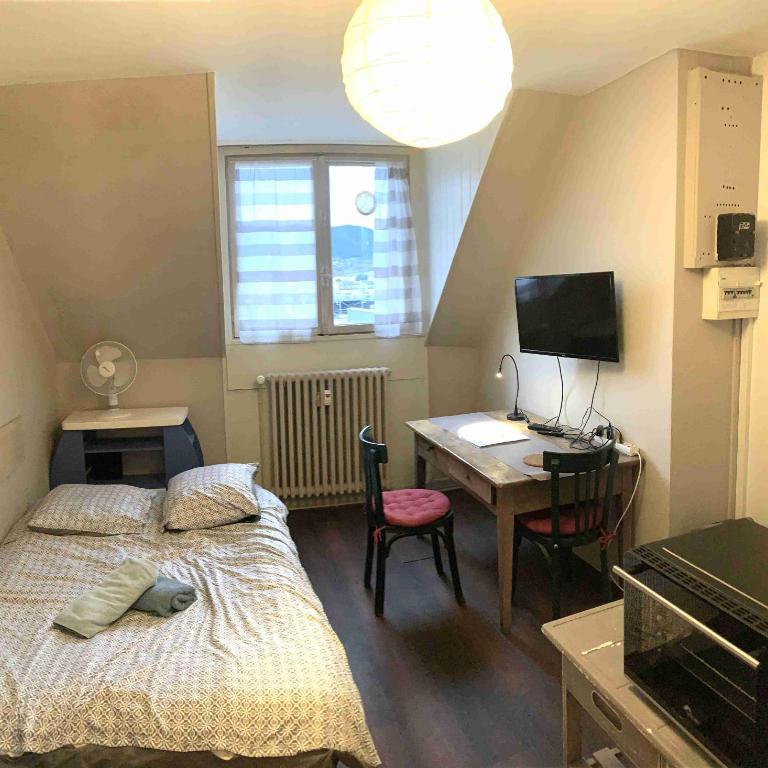 Studio Léman - One-Bedroom Apartment - 2