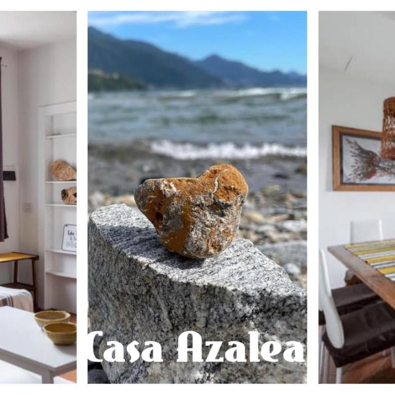 Casa Azalea - Appartamento - 1