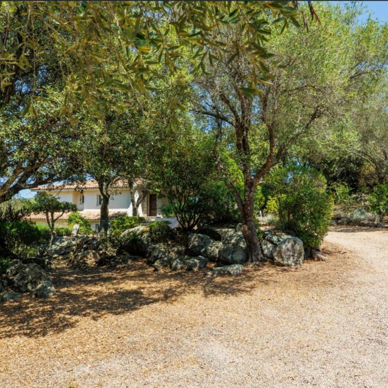 4-bedroom villa with pool and sea view - Villa - 44
