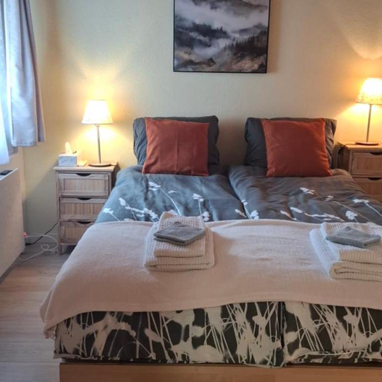 Chalet Clair de Lune bei Grächen VS - Apartment - Erdgeschoss - 5