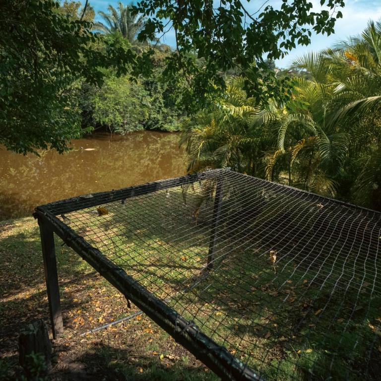 Hotel MulataRetreat - Suite Deluxe con bañera de hidromasaje - 1
