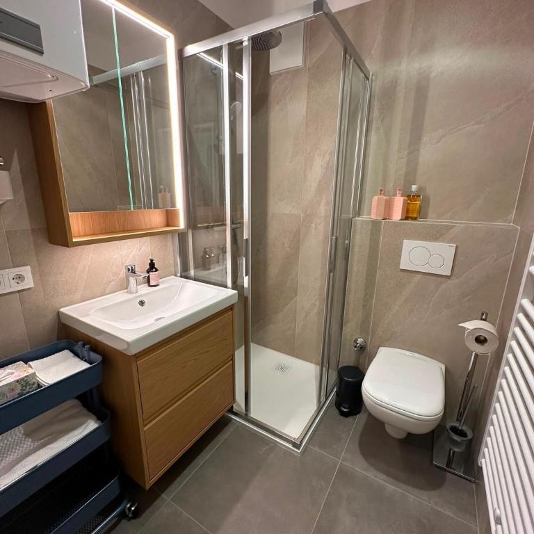 Neu renoviertes Apartment im Zentrum - Appartement 1 Chambre - 2