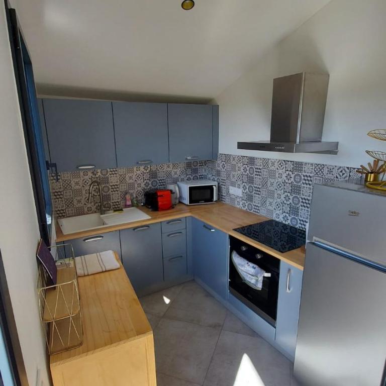 View Geneva Lake, private residence, swimming pool - Appartement 2 Chambres - 33