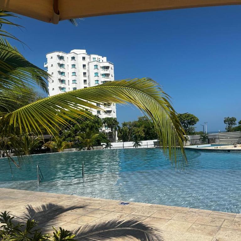 Sunset Horizon Apt-Ocean View-Pool-Wi-Fi-Beach - Apartamento de 1 dormitorio - 1