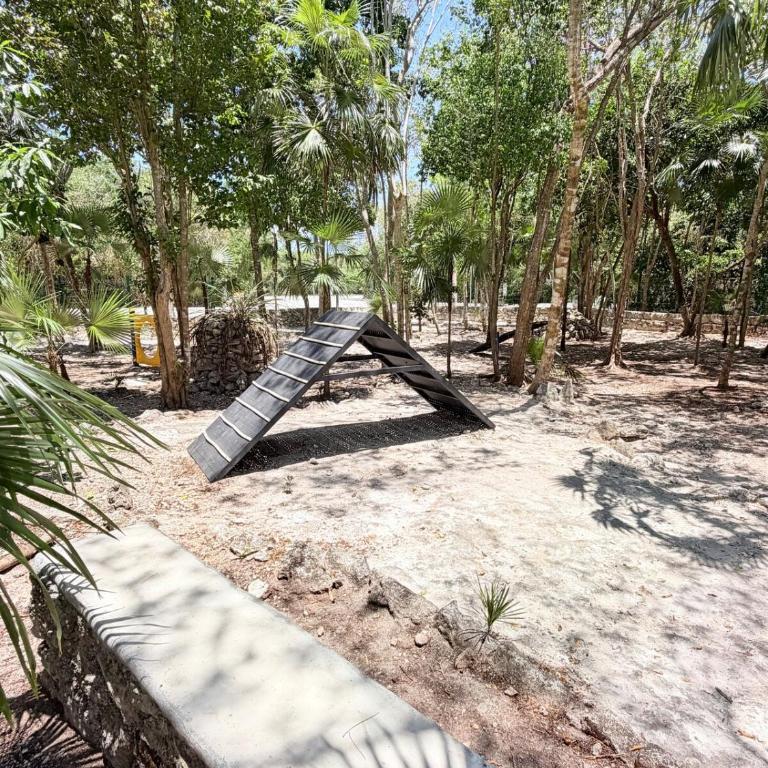 Villa de Lujo con Alberca Privada y Amplio Jardín - Villa - 27