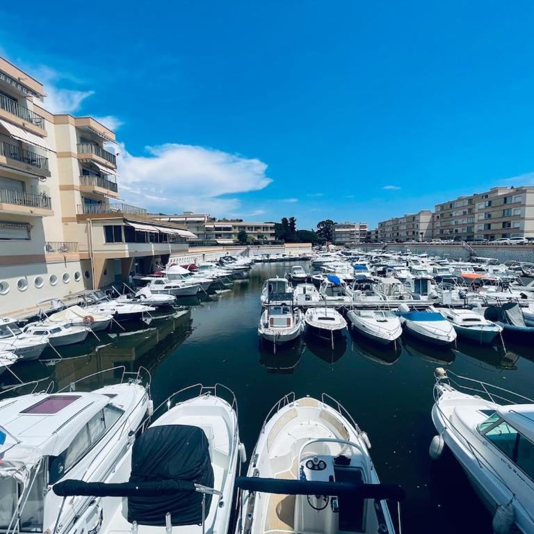 Studio cosy avec piscine, port et plages à pied - Appartement 1 Chambre - 5