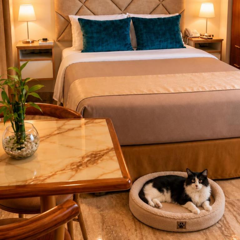 Hotel Soul Mate Inn - Deluxe Suite - 12