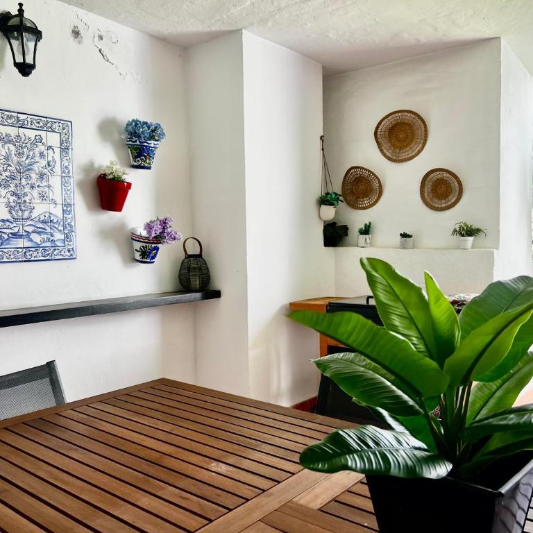Impeccable large apartment with immense terrace and private garden overlooking the mountain, featuring 2 bedrooms and sleeping up to 4 guests located 100 meters from Plaza Maestranza - Apartamento de 2 dormitorios - 18
