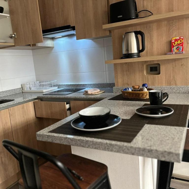 Apartment in downtown Santiago Movistar arena Metro - Two-Bedroom Apartment - 24