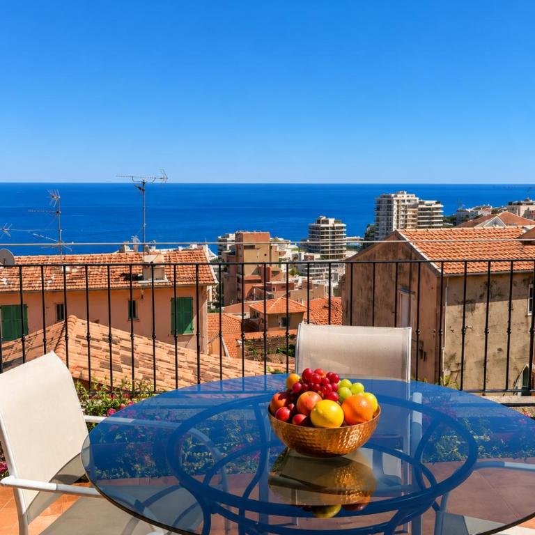 Sea View & Monaco Panorama , Large Terrace, Air Conditioning - Appartement 1 Chambre - 2