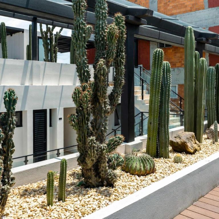 Stylish Loft w Balcony in the Heart of Roma Norte - Apartment - 14