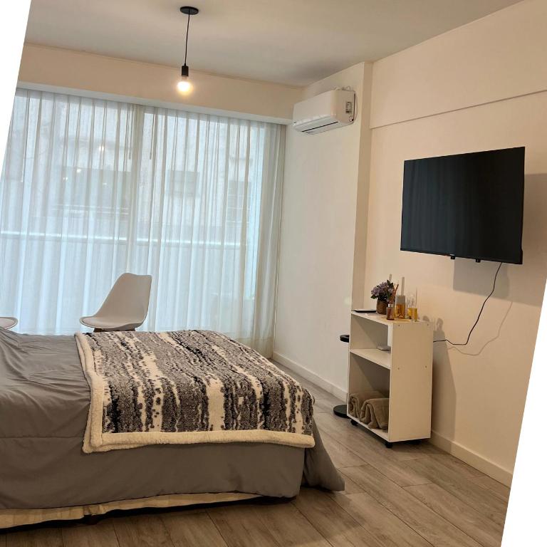 Diego - One-Bedroom Apartment - 2
