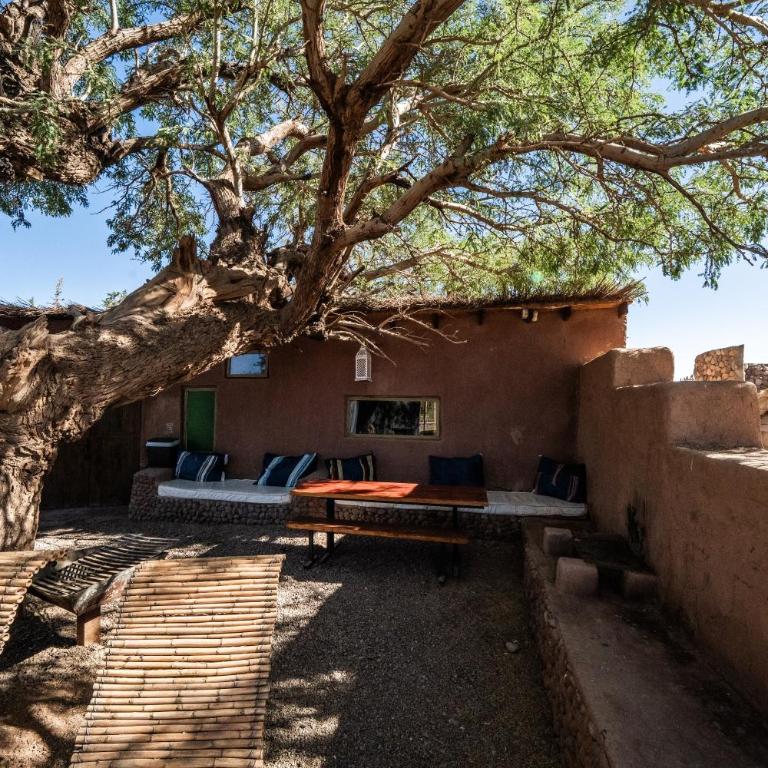 Atacama Loft & Glamp - Bungalow - 14