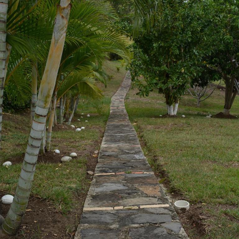 Summer House Villa en Condominio privado La Mesa Cundinamarca - Casa de 3 dormitorios - 49