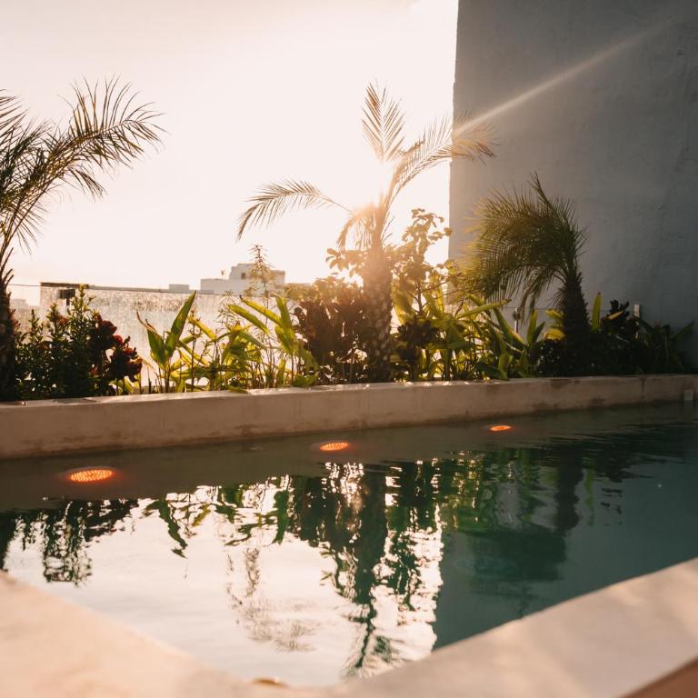 Luxury Caribique Ocean View Condo Jacuzzi Telescope Rooftop Pool - Studio with Sea View - 39