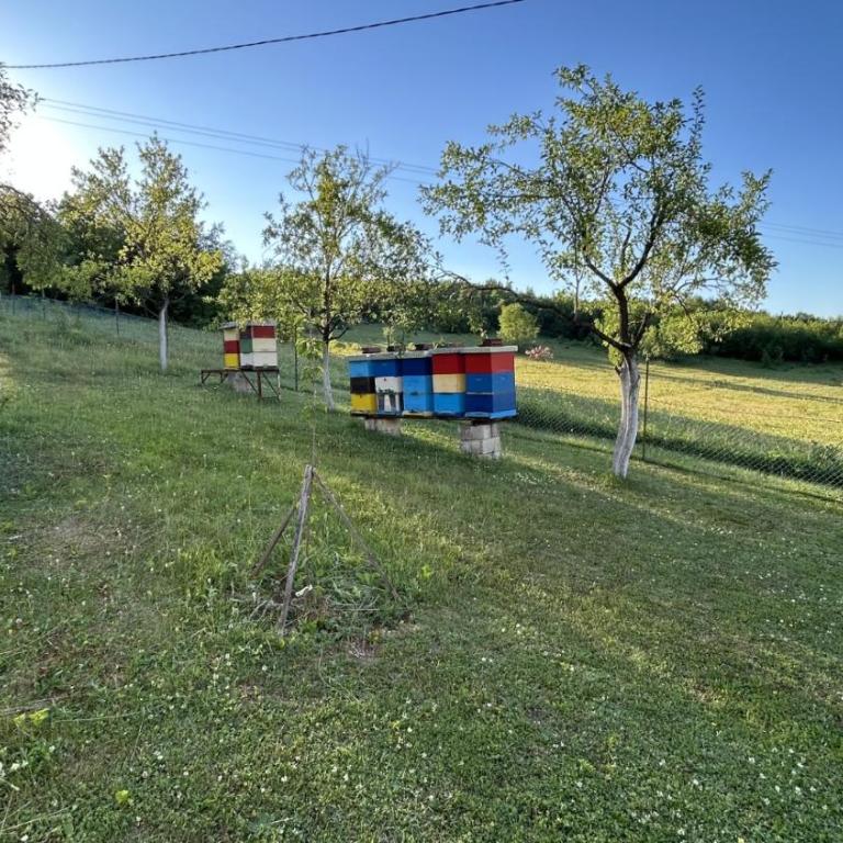 House Greda - Maison 3 Chambres - 8