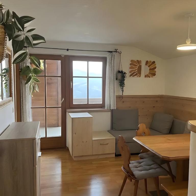 Residence Zirmer Wohnung Feuer - Appartamento Superior con Sauna - 4