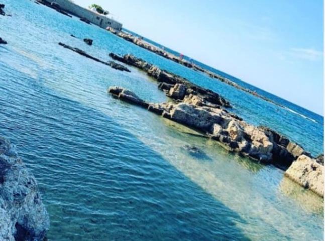 Ville Alba & Azzurra Accesso Privato al Mare - Villa mit Meerblick - 22