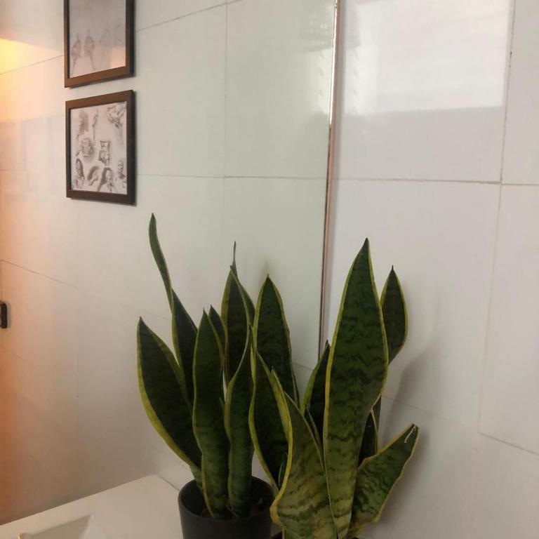 Mediterranean chick benidorm - Apartamento de 2 dormitorios - 32
