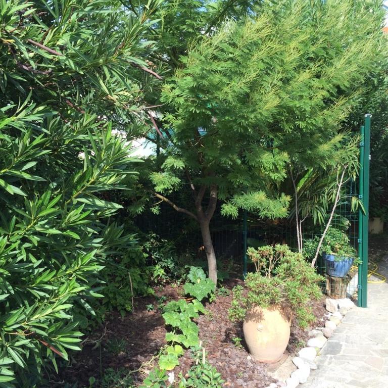 Villa EDEN ROC - Two-Bedroom Apartment with Garden View - 10