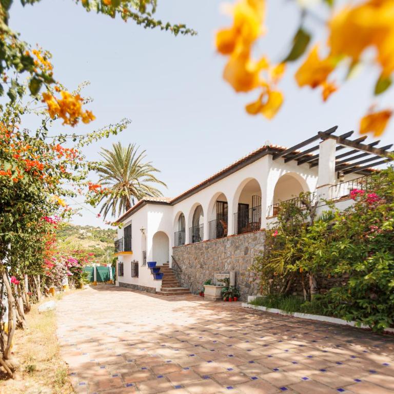 Cortijo Santa Cruz - Villa - 6