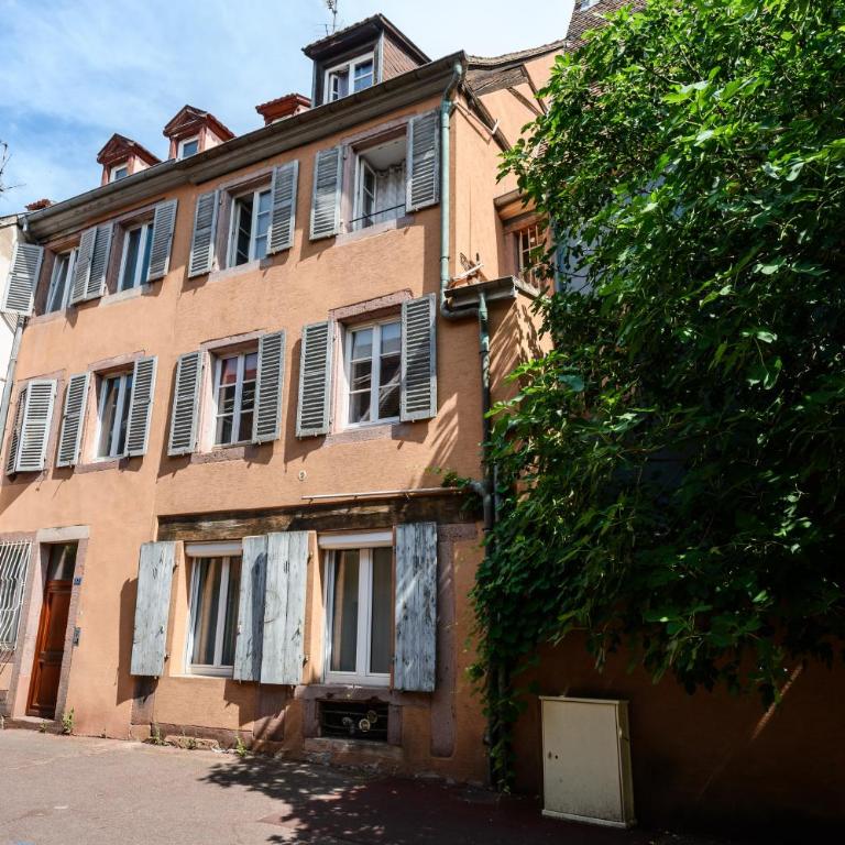 Le Nid d'Alspach - Appartement avec Douche - 24