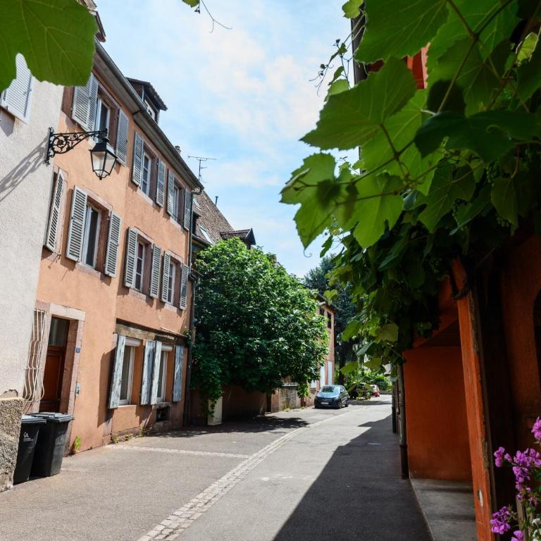 Le Nid d'Alspach - Appartement avec Douche - 25
