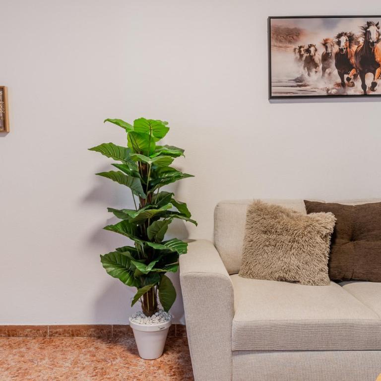 Relaxation and rest near the beach - Apartamento de 2 dormitorios - 20