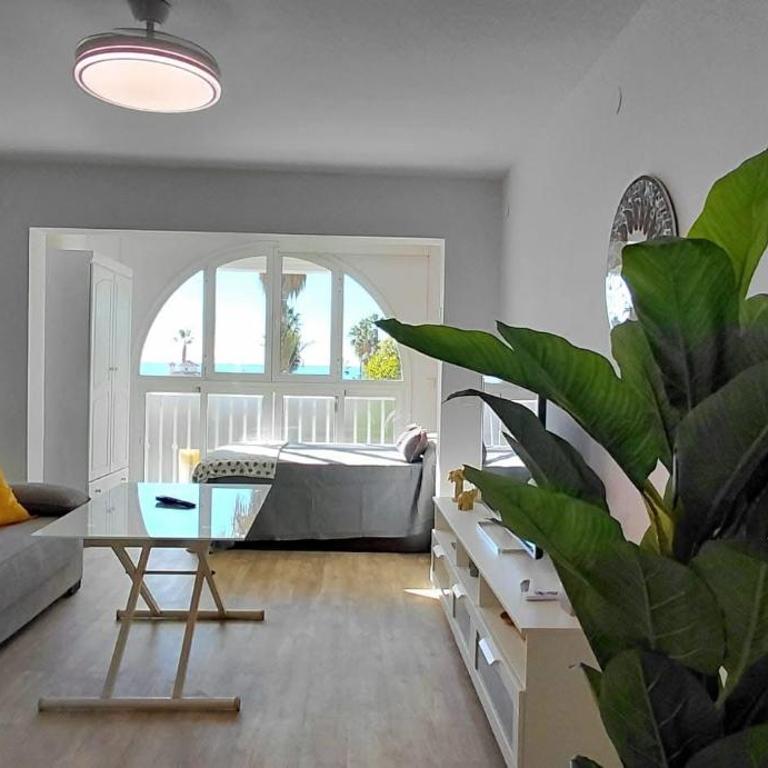 Studio La Palmera - Apartamento de 1 dormitorio - 13