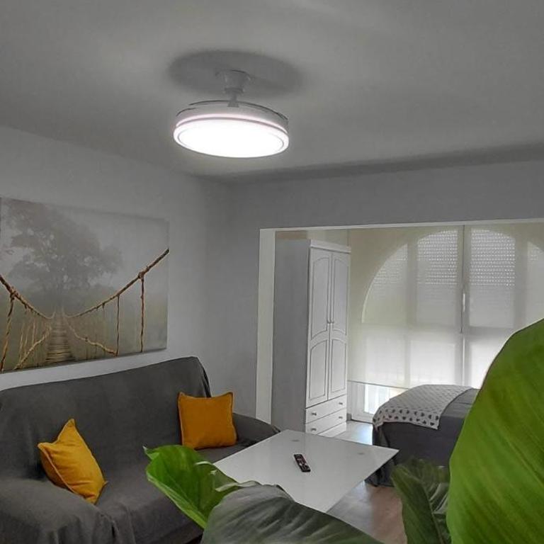 Studio La Palmera - Apartamento de 1 dormitorio - 16