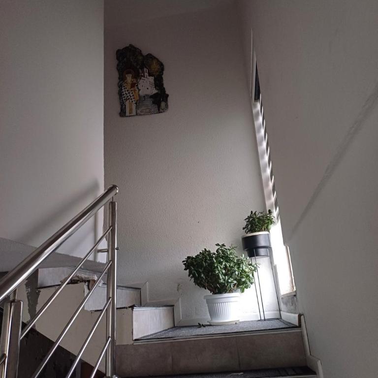 Apartman Miljan - Apartman sa 2 Spavaće Sobe - 1