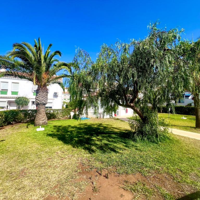 Studio La Palmera - Apartamento de 1 dormitorio - 20