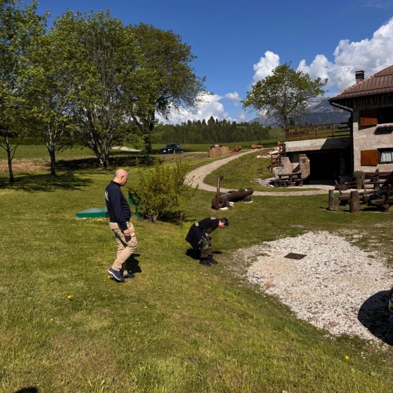 Chalet Maso Pino - Four-Bedroom Chalet - 17