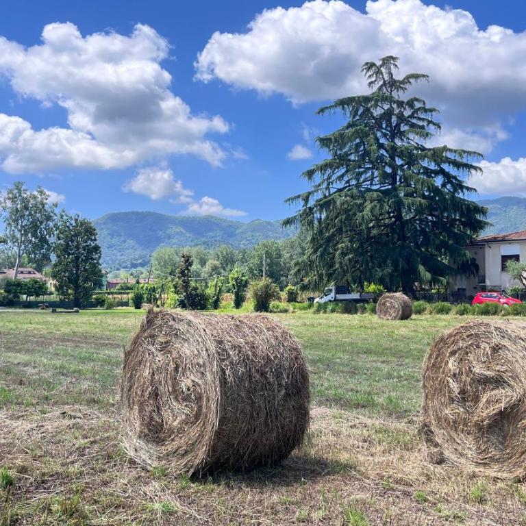 L'Angolo di Nelida - Appartamento con 2 Camere da Letto - 29